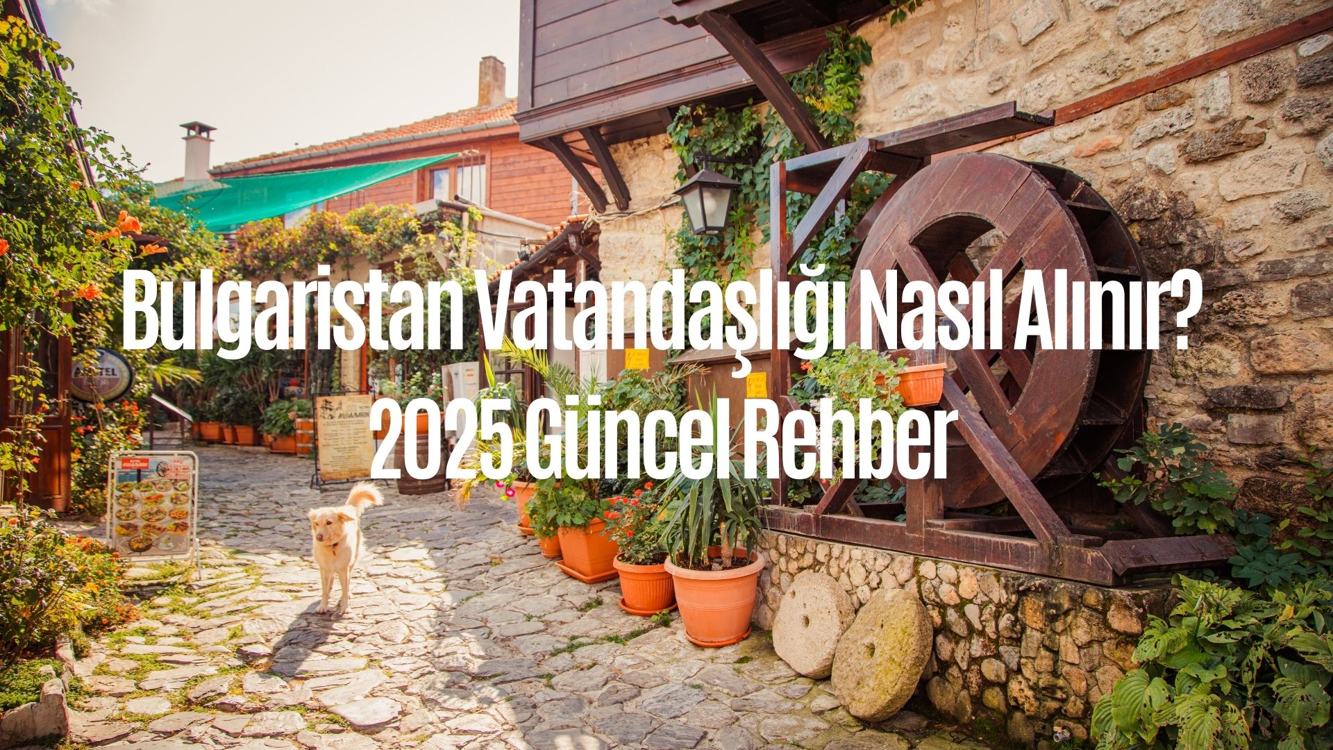 Bulgaristan Vatandaşlığı Nasıl Alınır? 2025 Güncel Rehber
